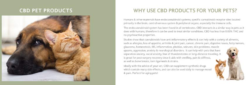 Order CTFO CBD Hemp Oil Products Fot Pets Cats & Dogs